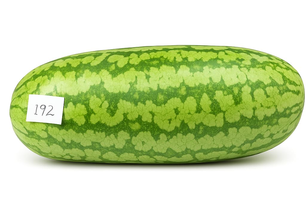 Amazon.com : 10+ Giant Carolina Cross Watermelon Seeds – Extra