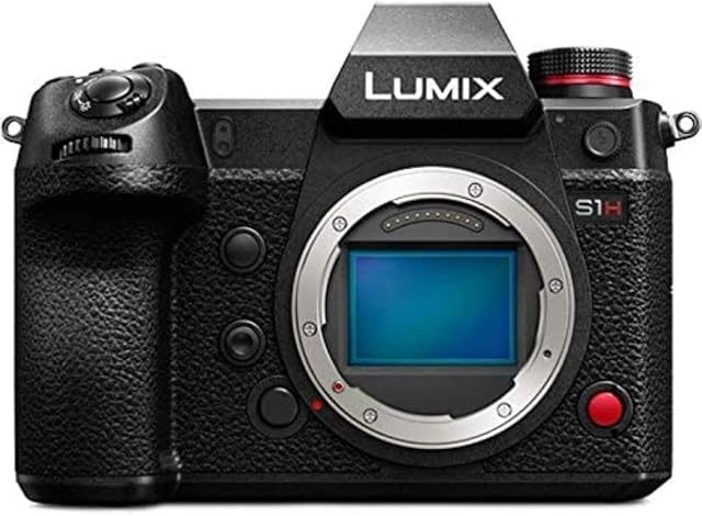 Panasonic LUMIX S1HE Full Frame Mirrorless Camera, 6K Video Recording With Flip Screen (Full-Frame Capture, 4:2:2 10-bit Internal Recording, Camera Body Only, Black)