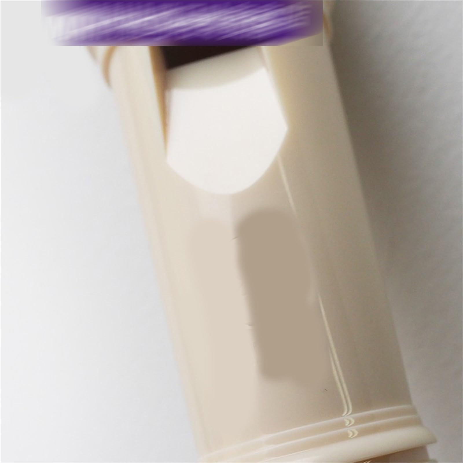 Flauto Dolce Professionale Flauto Dolce Soprano A 8 Fori In Do Diteggiatura Inglese Strumento A Fiato Professionale