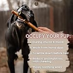 Bully Bunches Bâton Bully en Collagène Enveloppé de Boeuf de 6 po | Taille Consistante, 100% Naturel, Mâcher Durable pour Chiens | Bâton Dentaire pour Mâcheurs Avides (6 po, 5 Paquet)