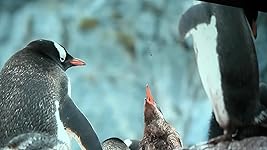 Review Image by Mateo Sanabria