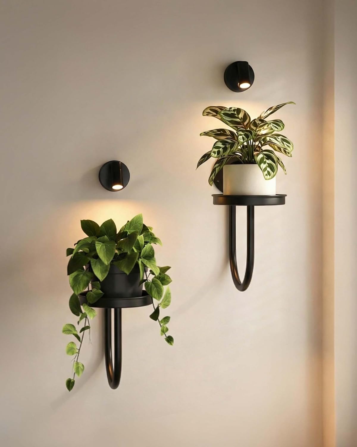 Leaf&lull Wall Plant Holder Plant Stand with Lights Wall Planters for Indoor Plants with Planter Plant Hanger Hanging Plant Holder Wall Hanging Decor 2 Pack Black