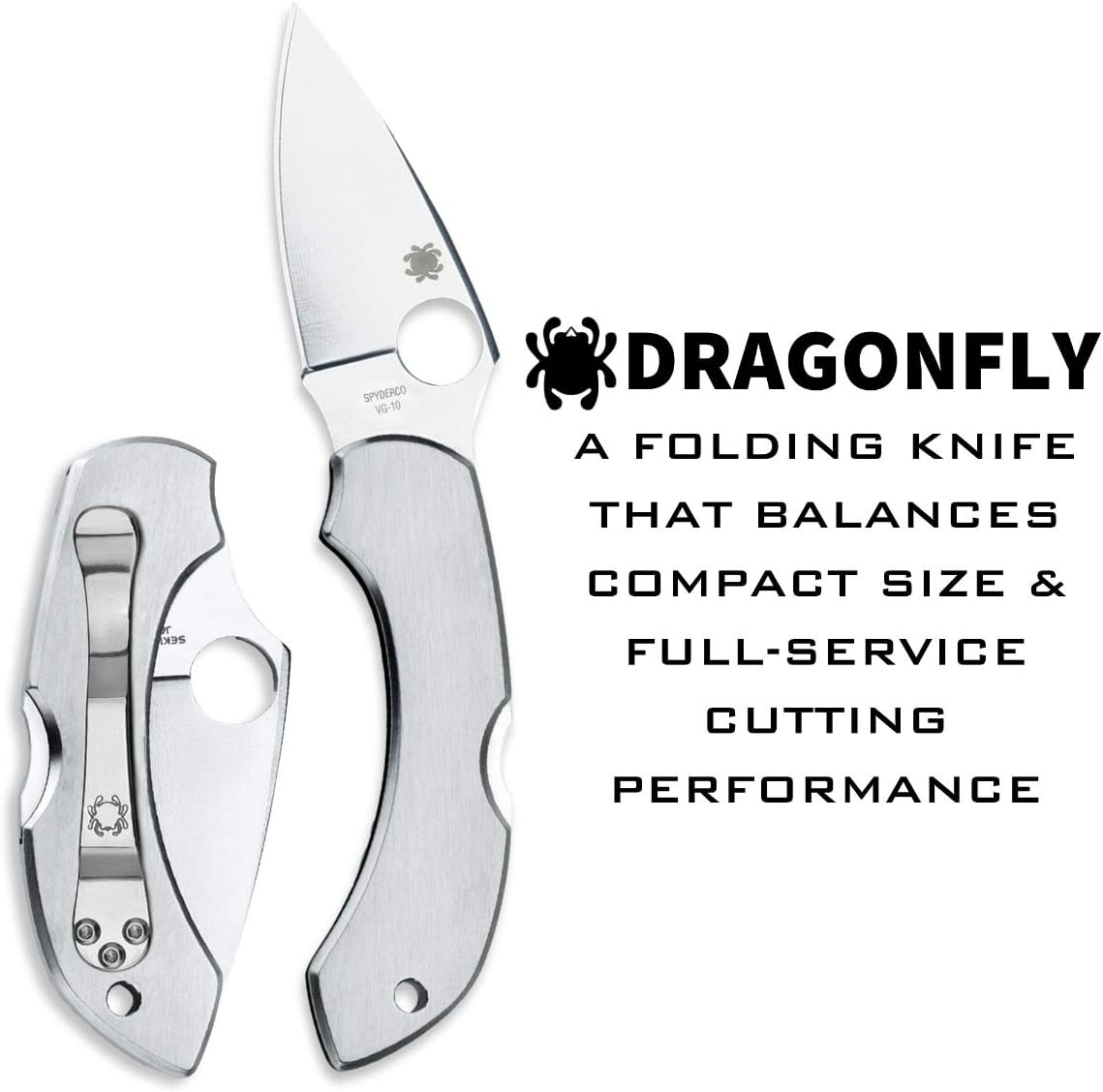 Spyderco Dragonfly Folding Pocket Knife with 2.3" VG-10 Steel Blade and Stainless Steel Handle - EDC Knife for Men and Women, Perfect for Hunting, Tactical, Camping, Survival - PlainEdge - C28P