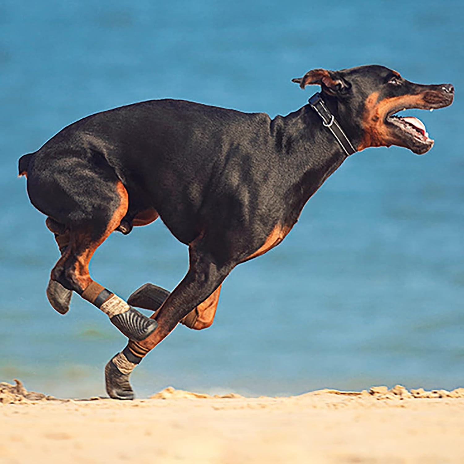 Dog Booties for Small, Medium and Large Dogs Outdoor Dog Boots Winter Dog Shoes for Snow Rain Puppy Shoes 4-pcs Set