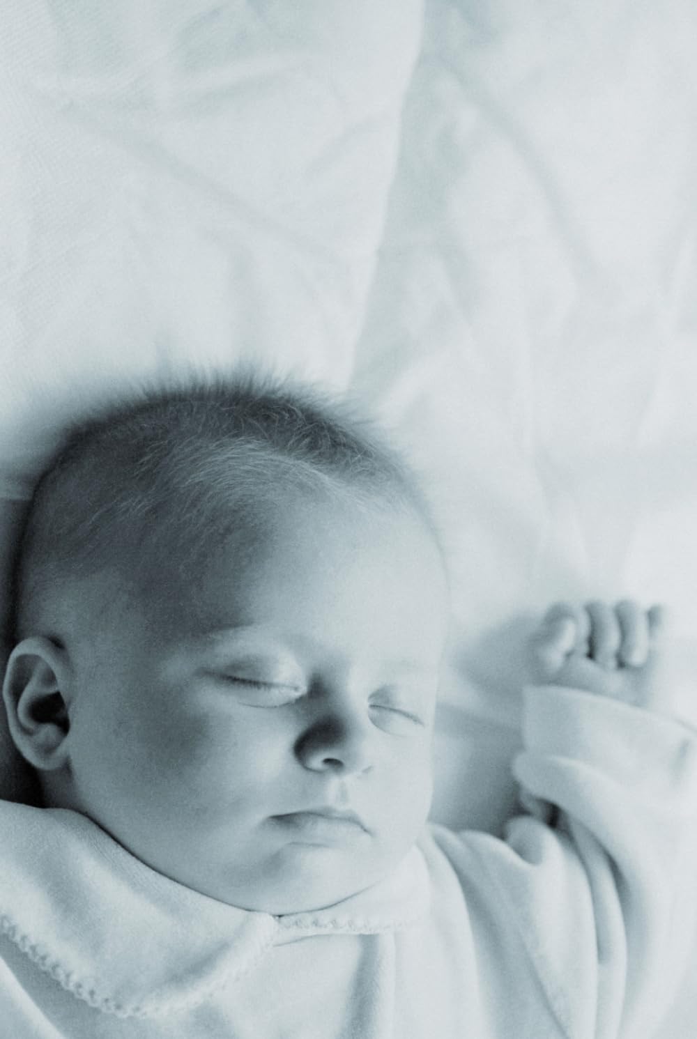 THE POSTPARTUM ECLIPSE: A Neurobiological Manual for Navigating Maternal Depression and Reclaiming the Integrated Self