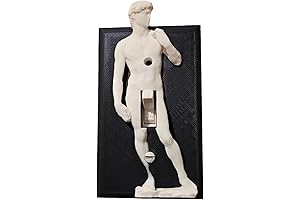David Light Cover - 3D Sculpture Toggle Cover