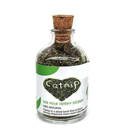 Bark n Bites Natural Attractive Mint Fragrance Funny Playing Catnip Cats Natural Attractive Mint Catnip Pack of 1