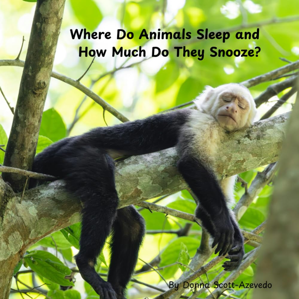 Where Do Animals Sleep and How Much Do They Snooze?