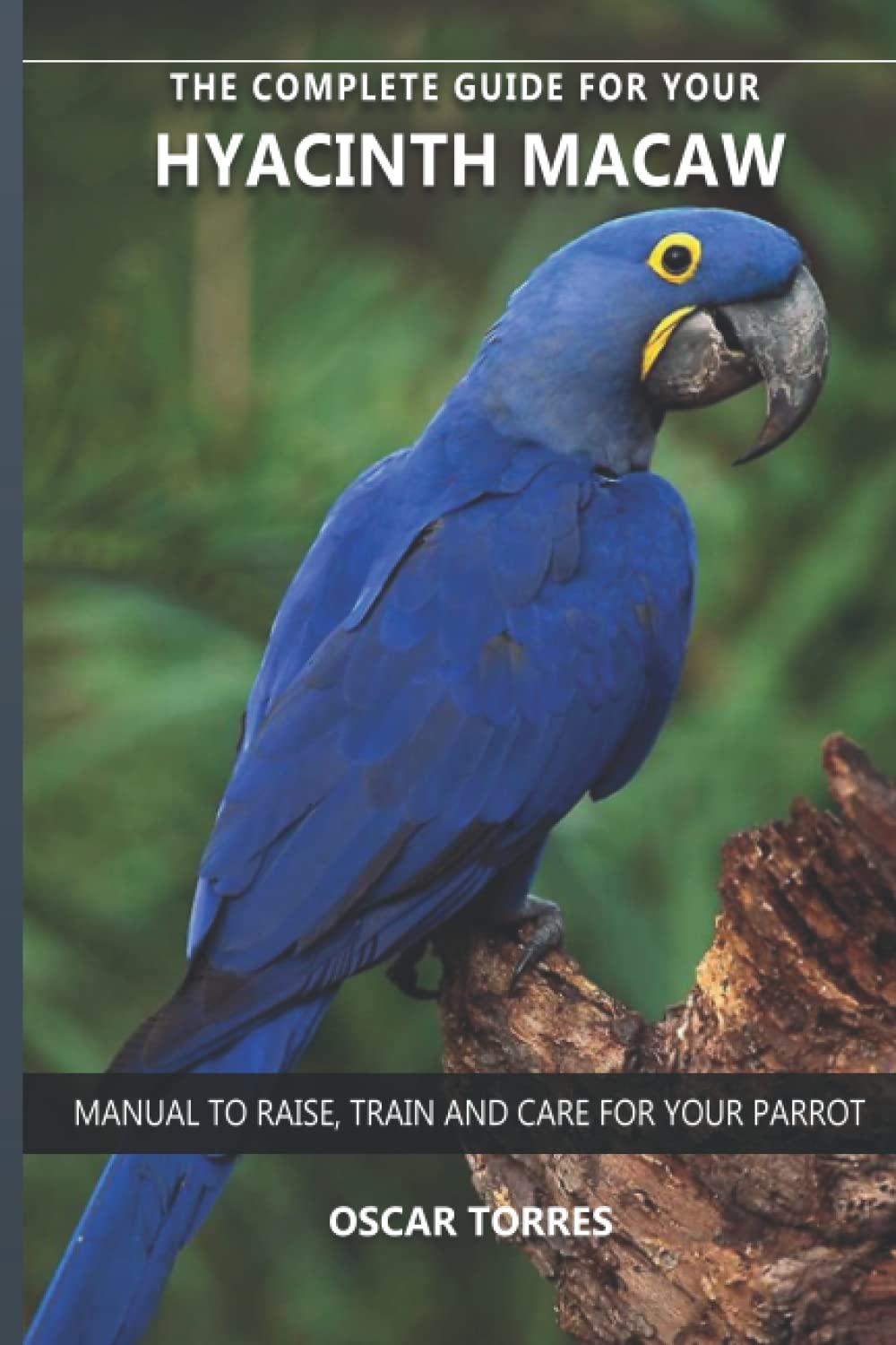 The complete guide for your Hyacinth Macaw: Manual to raise, train and care for your parrot