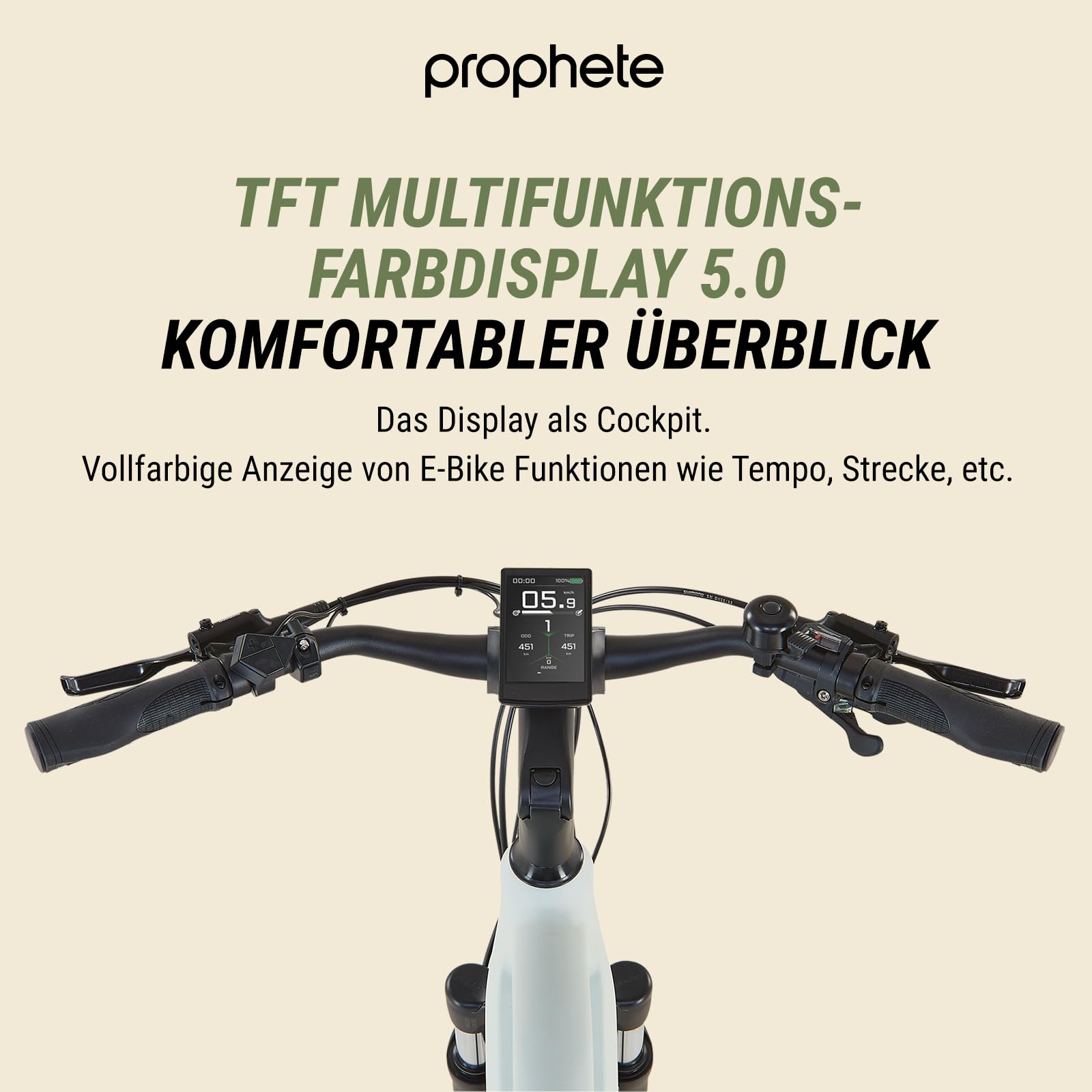 ROPHETE ENTDECKER 5.0 Damen Trekking E-Bike 28" – AEG 250W Mittelmotor, 220 km Reichweite, 10-Gang, Hydraulische Scheibenbremsen, LED-Beleuchtung, Integrierter Li-Ion Akku, Grau/Schwarz