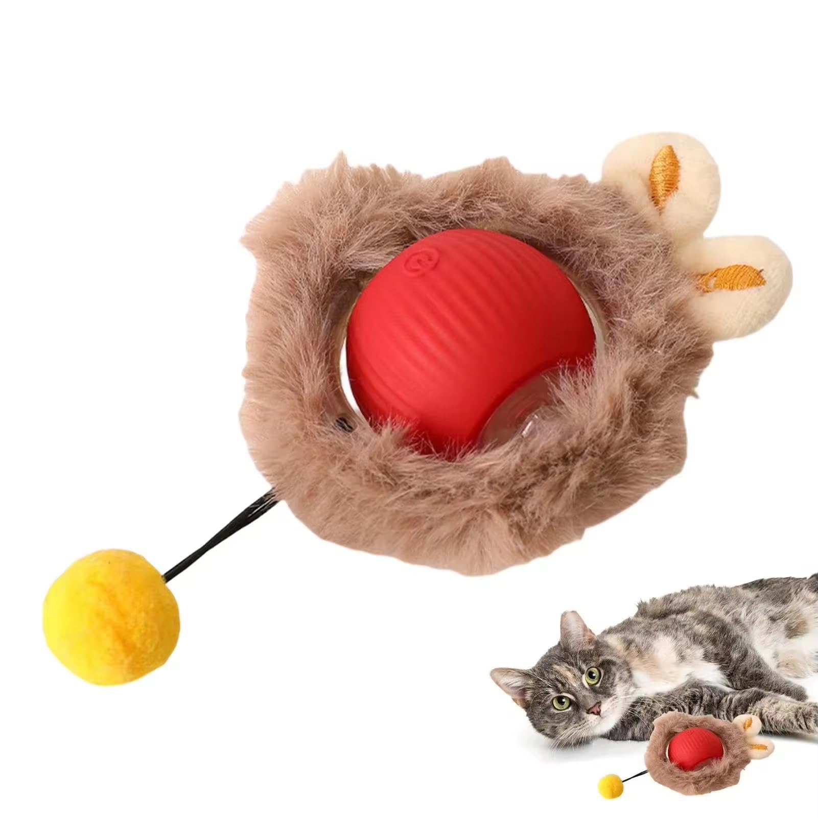 ZEEJAY Cat Ball Toy (Red feather)
