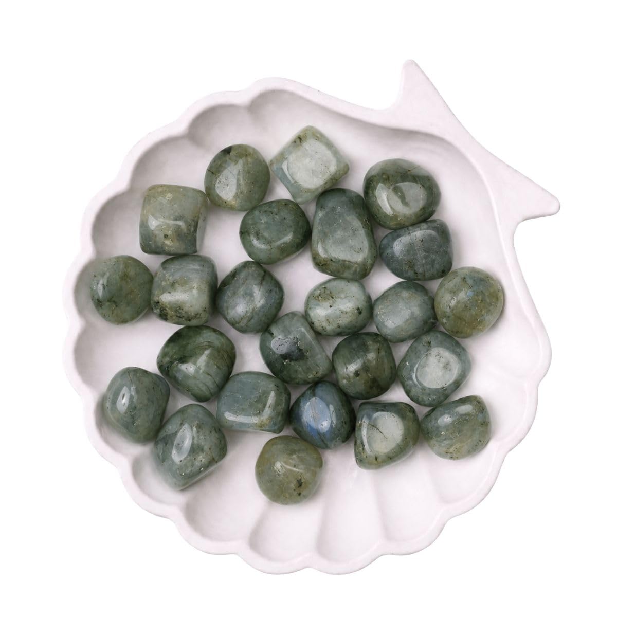 White Labradorite Crystal Tumble for Meditation & Feng Shui (100 Gm) | Natural Gemstones for Intuition & Protection | Decorative Crystal Pebbles for Vastu Home Decor & Office Desk Decoration (3-6 Pcs)-image-12