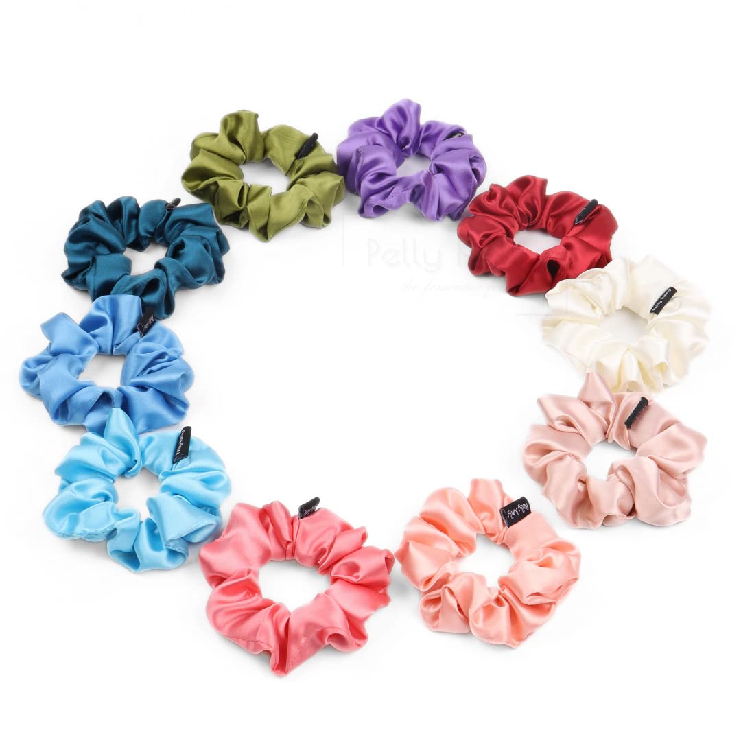 Pelly Kelly Scrunchies For Women Girls, Same 10 Colors as Shown Satin Scrunchy Hair Bands, Rubber Band, Accessories ties, Best Gift for Sister Mother Girlfriend, Regular Size, Light, Pack of 10 (B0BZLLBSDX) Amazon Price History, Amazon Price Tracker