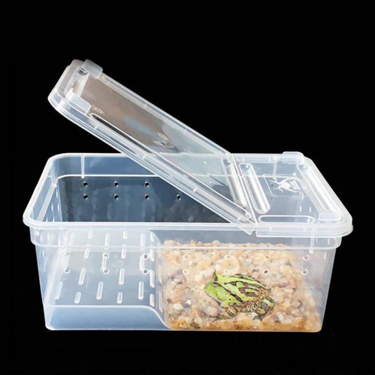 BESTYASH Vasca per Tartarughe Rettili in Plastico con Piattaforma e Area Riposo per Esercitare capacità di Arrampicata e Alimentazione in Ambiente Adatto