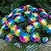 Produktbild SummerRio Garten-Selten Regenbogen Chrysantheme Samen Mehrjährig Winterhart Pflanzen Samen Stauden Gänseblümchensamen Mischung Bonsai Blumensamen für Balkon
