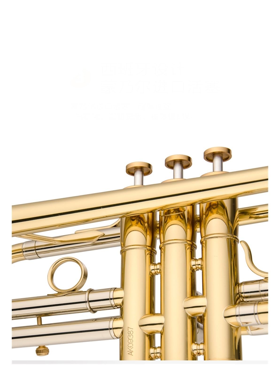 trąbka instrument Profesjonalna trąbka lakierowana w kolorze złotym w kolorze złotym lakierowanym w kolorze C
