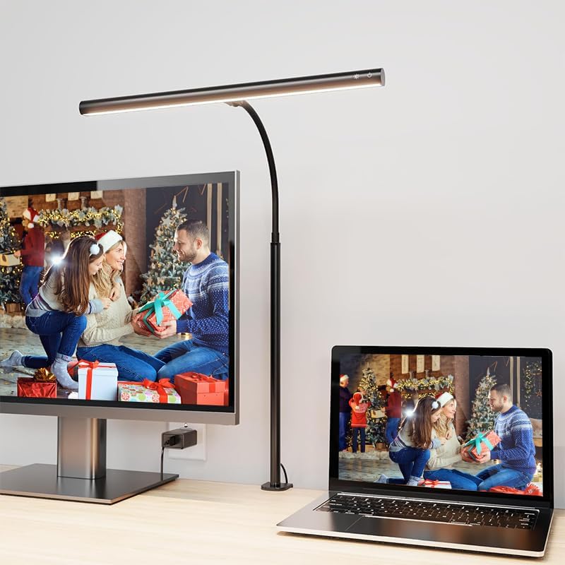 EppieBasic Desk Lamp with Clamp, 24V Led Desk Light Touch Control, Eye Care