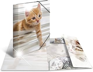 HERMA 19328 patinati Sammelmappe DIN A4, in plastica, serie Animali, motivo: gatti, segno Mappe Con con elastici in gomma, con stampa interna, 1 pezzi