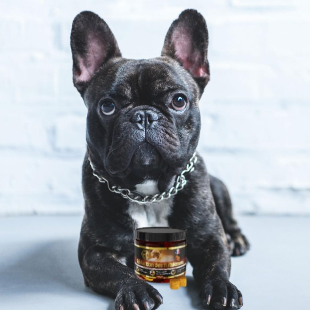 Traitement Anti Flatulence Chien - complément Alimentaire Chien flatulences - 60 croquettes Chien Anti Flatulence - Goût Poulet (Francais)