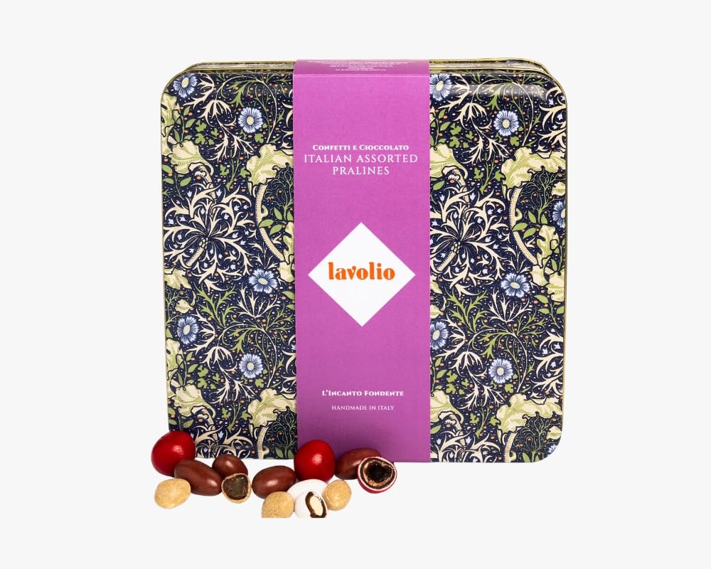 Lavolio Noir Selection Confectionery Gift Box – Assortment of Dark Chocolate nuts with Dried Fruit – Fruit & Nut Chocolate Gift Set for Any Occasion – Gluten Free – 250g