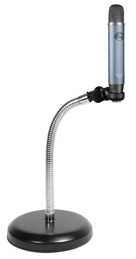 Blue ember スタジオコンデンサーマイク Amazon.com: Blue Ember Side-Address Cardioid Condenser