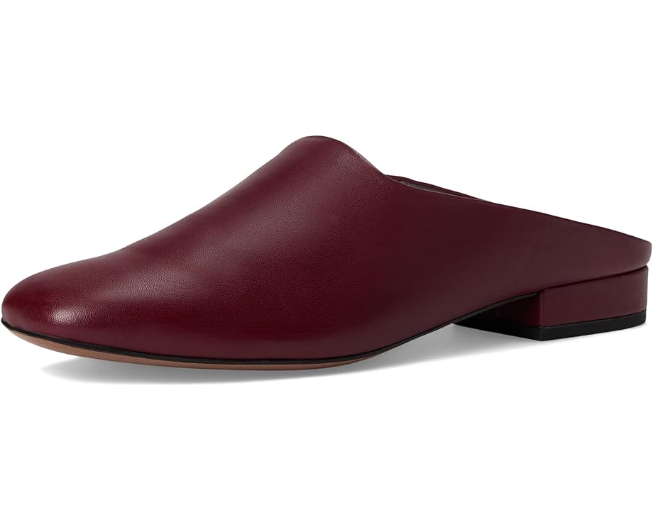 Franco Sarto L-daley - Front View