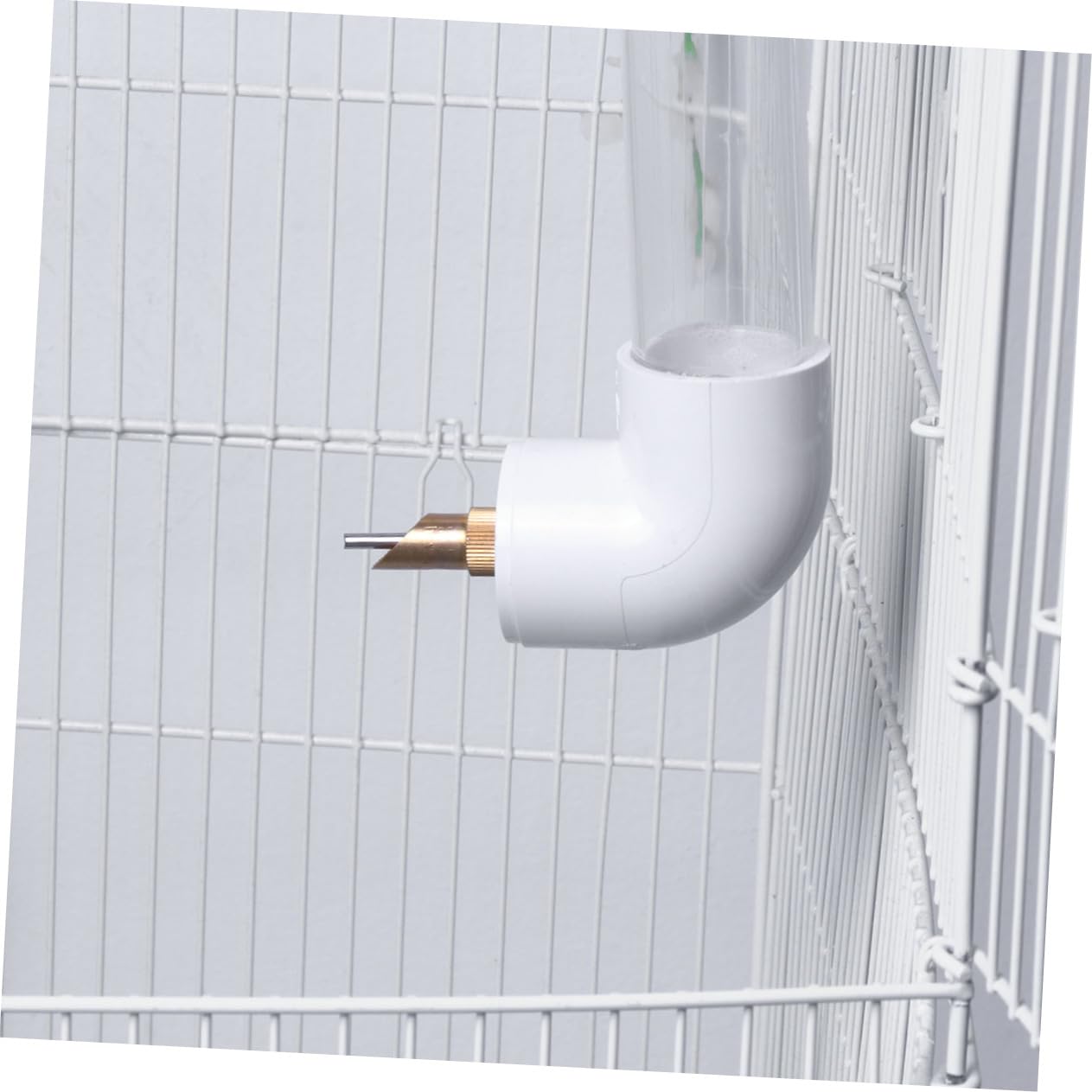 Angoily Ciotola per Acqua da Appendere alla Parete per Pappagalli di Media e Distributore d Acqua per Animali Domestici Mangiatoia Automatica per Pappagalli e Uccelli Stili multipli