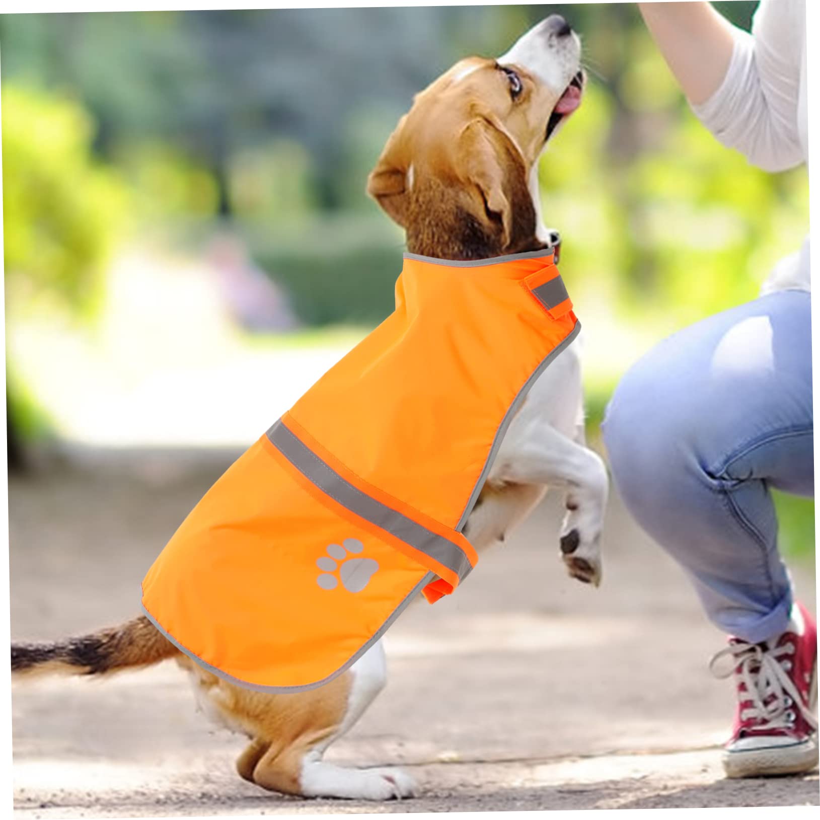 Sosoport 5stücke Hundeweste Reflektierend Fluoreszierende Warnweste Für Hunde Verstellbar Aus Atmungsaktivem Oxford Outdoor-aktivitäten Sicheres Und Stylisches Hundezubehör