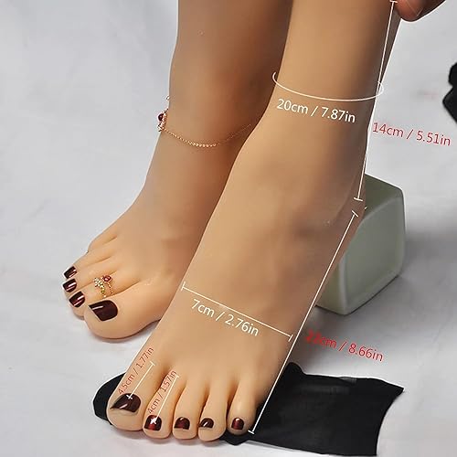 Miniatura 6 de TDHLW Pies de silicona hembra, maniquí de pie femenino Lifesize, hueso incorporado, derecho