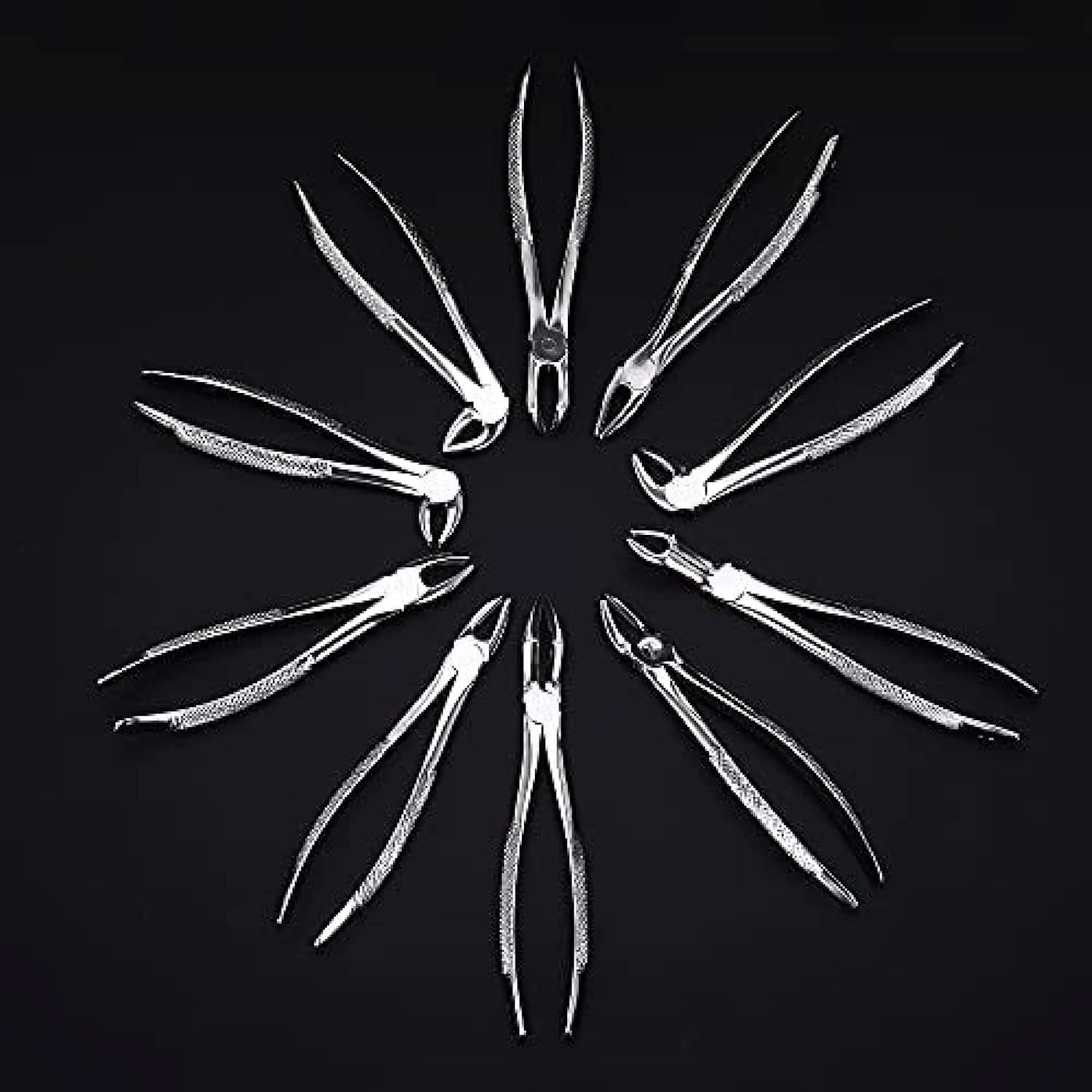 Set per L'estrazione dei Denti Dentali, 1 Set di Pinze per Pinze per L'estrazione Dentale in Acciaio Inossidabile Kit di Pinze per L'estrazione dei Denti Chirurgici Dentali, Adults