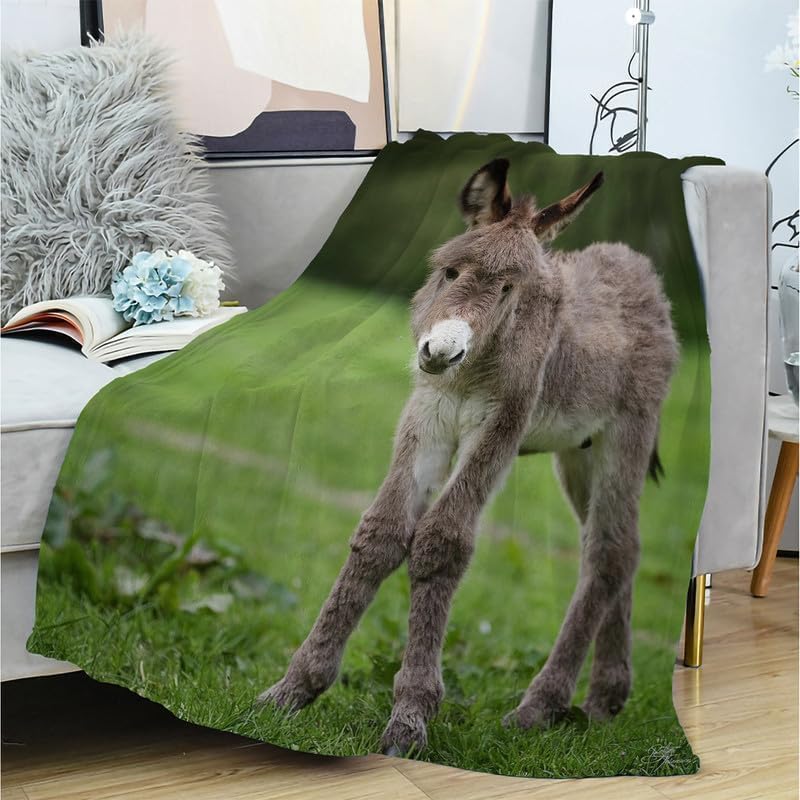 Couverture polaire âne 3D 130x170 cm en microflanelle douce pour lit et canapé