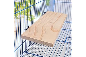 Parrot Perches - Flat Natural Wood Bird Stand Platform