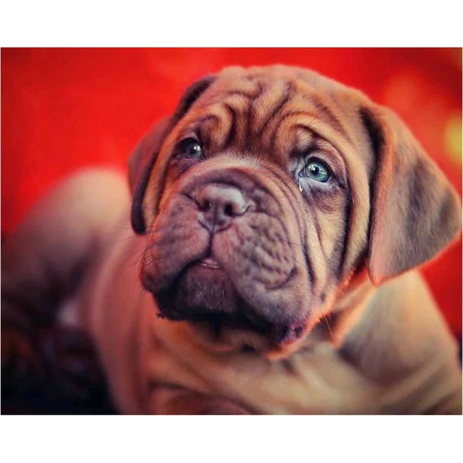 NPRZM DIY 5D Diamond Painting Kits Full Drill, French Dogue De Bordeaux Round Rhinestone Embroidery Painting 40x40CM