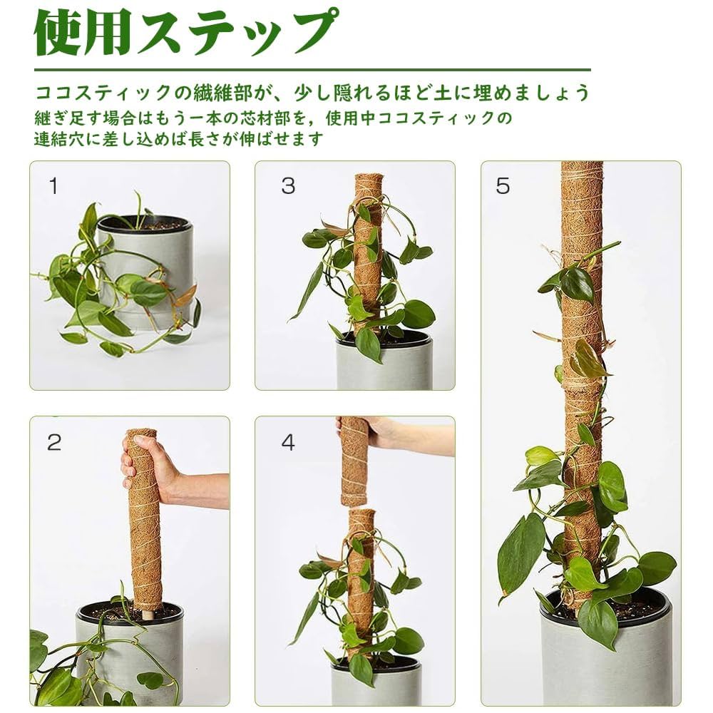 Amazon | モンステラ 支柱 ポトスタワー支柱 園芸支柱 観葉植物