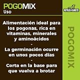 Ver la foto 5