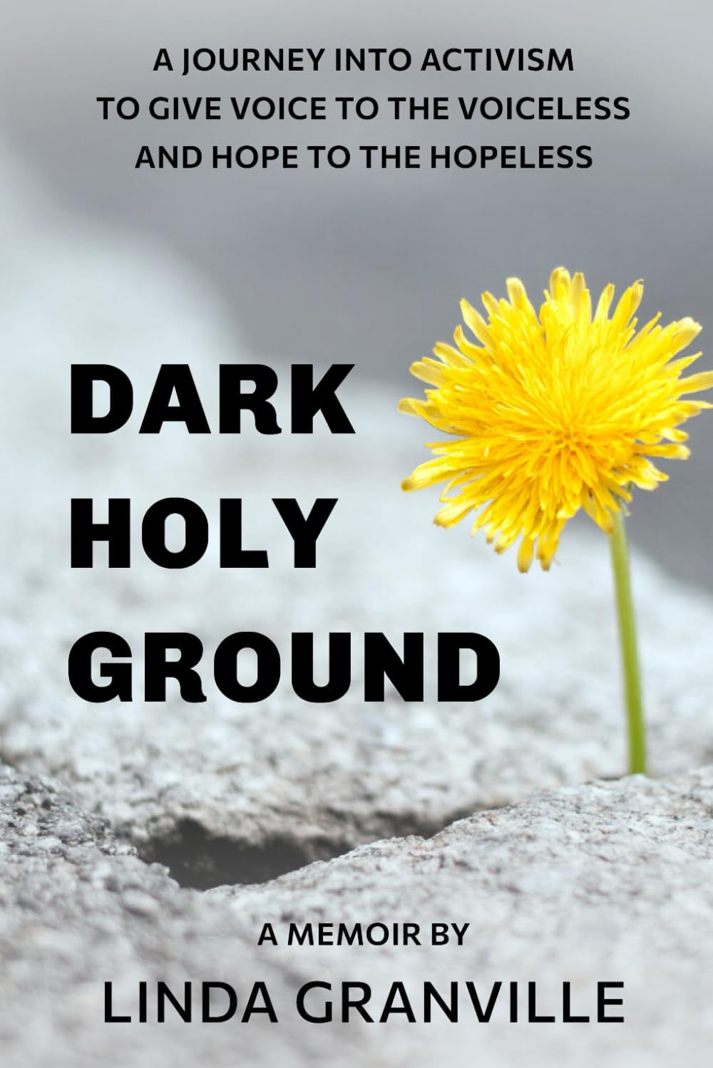DARK HOLY GROUND: A Journey into Activism to give Voice to the Voiceless and Hope to the Hopeless