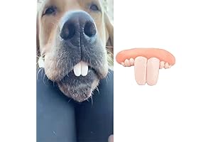 Teething Puppy Toy with Funny Fake Teeth