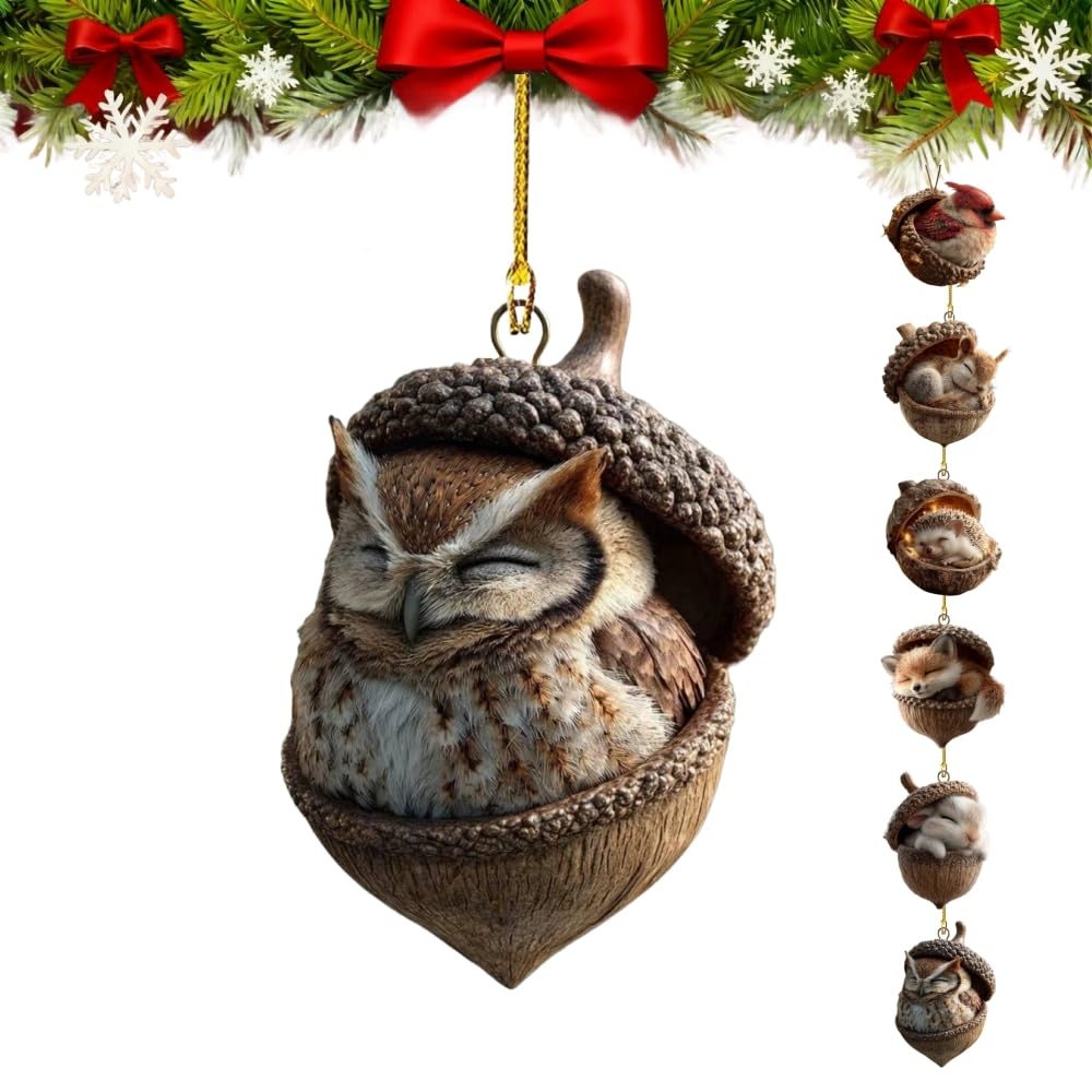 6PCS Forest Animal Acorn Ornaments, Acorn Animal Hanging Christmas Ornaments, 2D Flat Acrylic Forest Pine Cone Animals Decorations, For Christmas Tree Decorations & Home Decor (Owl)