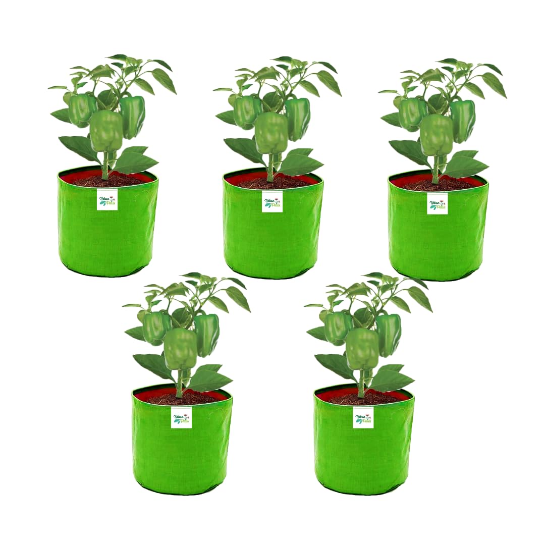 URBAN PETALS 15X15 Inches 280 GSM Grow Bag | Pack of 05 | for Flowers & Vegetables | 10 Years Long Life (B0CT883PBT) Amazon Price History, Amazon Price Tracker