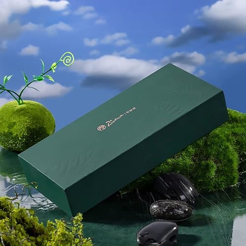 Miniatura 3 de Picasso 916 - Pluma estilográfica con diseño de tiras verdes con caja para escribir, punta extrafina, oficina, escuela de negocios