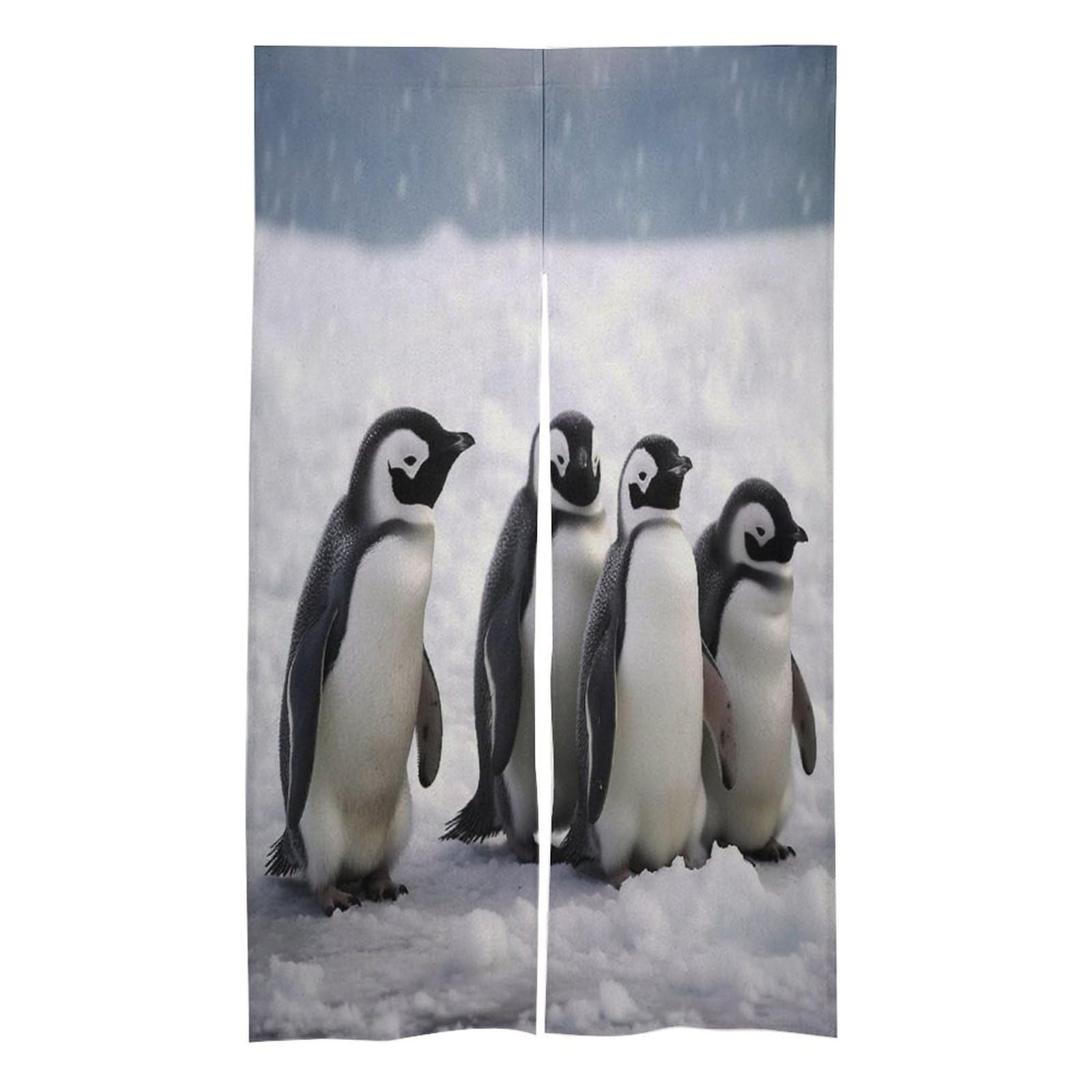 Rideaux de porte isolation thermique tapisserie chambre salon motif peinture