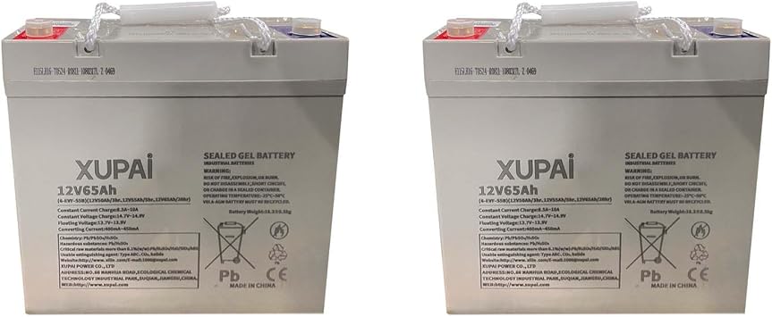 APOLLOLIFT 12V/65AH Lead-Acid Battery for Electric Pallet Jack Truck 2PCS