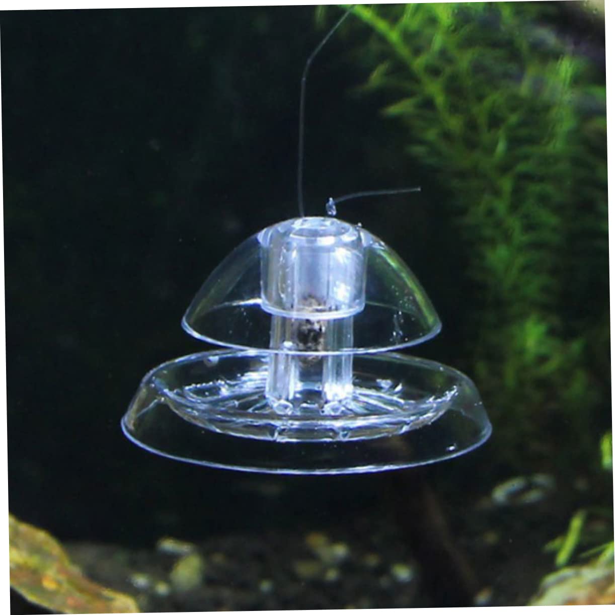 Supvox 5 Sätze Schneckenfalle Aquariumdekoration Fangen Filter Höhle Netz Schneckenfänger Für Aquarium Transparenter Schneckenfänger Kleiner Schneckenfänger Fischfalle Plastik 2 Stück * 5
