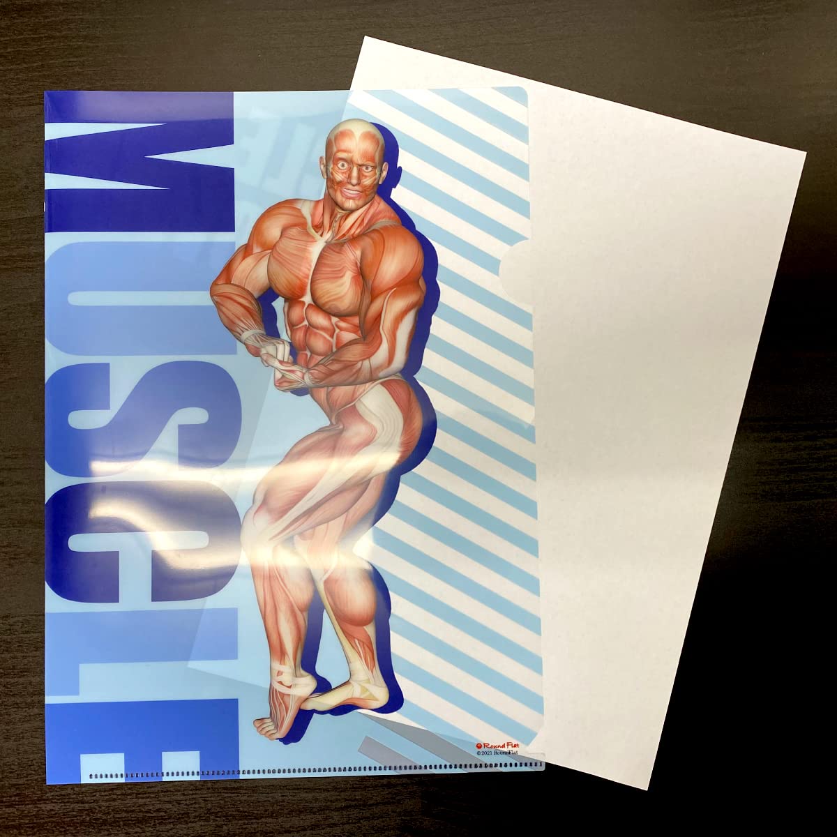 Amazon | 筋肉家 筋次郎コレクション1 クリアファイル3枚セット A4