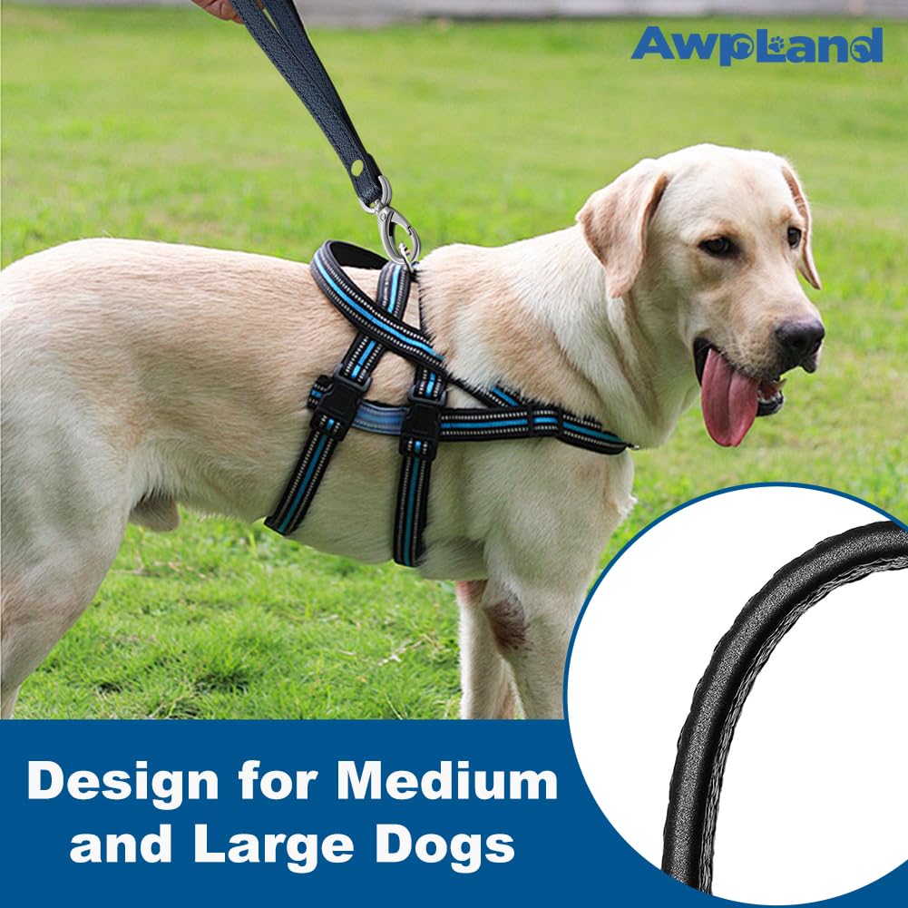 Guinzaglio Corto In Pelle Per Cani - Fatto In Spagna, 32 Cm, Nero - Foto 4