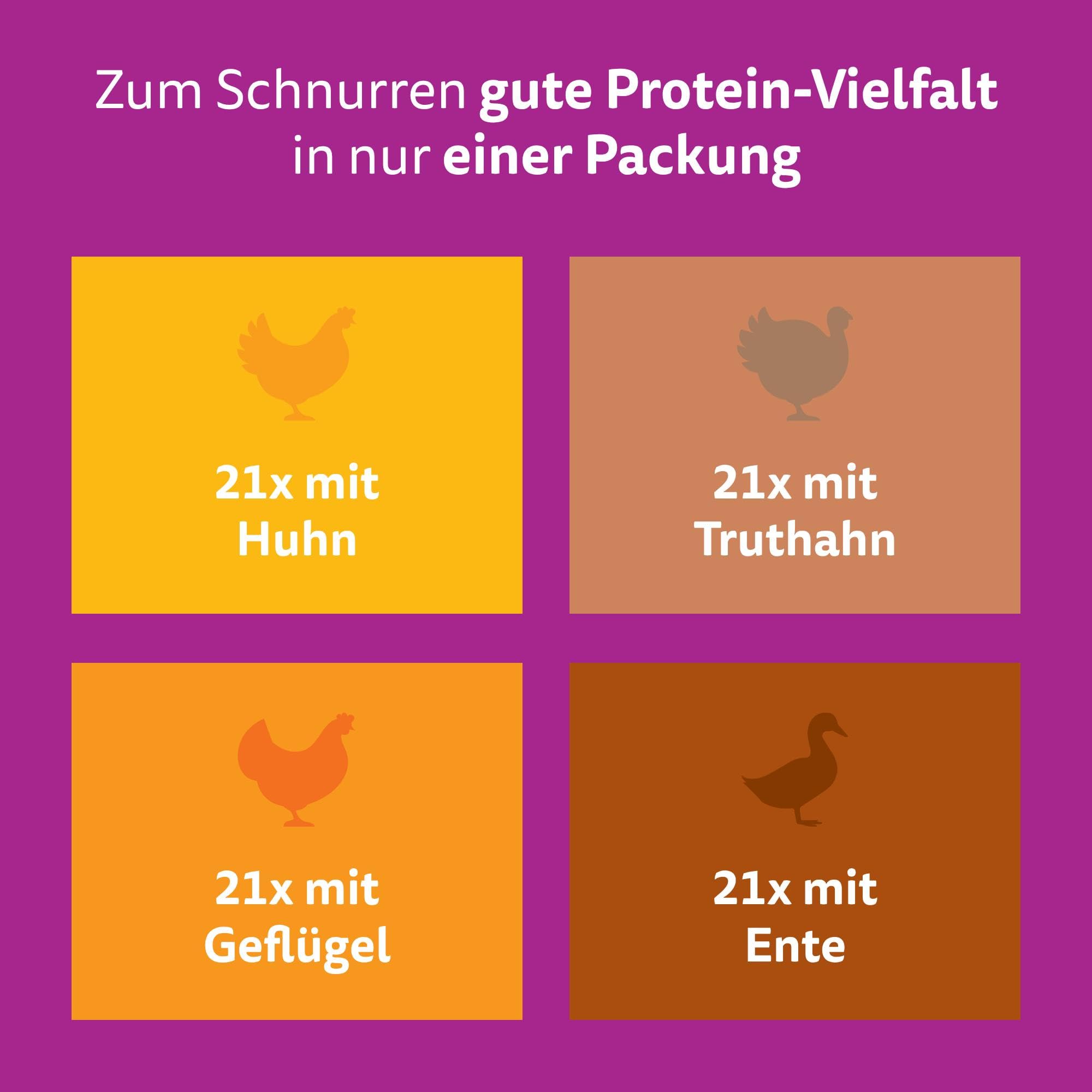 WHISKAS Nassfutter in Gelee für Katzen 84 x 85g Geflügel Auswahl