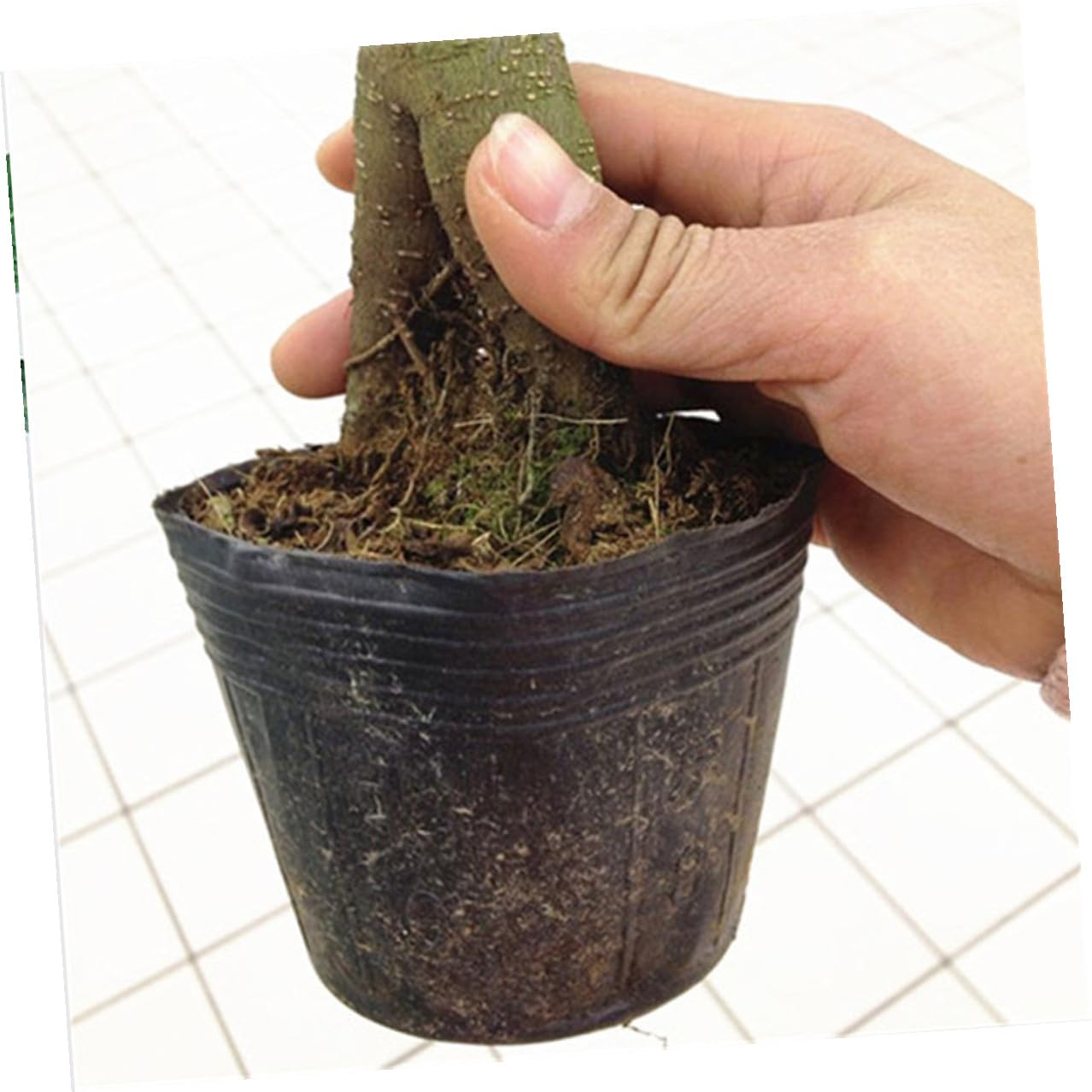 Homoyoyo 300 Pezzi Vaso da Vivaio 15x15 Cm in Plastica Degradabile Foro Drenante, Tazza Nutrizionale Leggera e Riutilizzabile per Piantine e Fiori da Giardino, Attrezzo da Giardinaggio