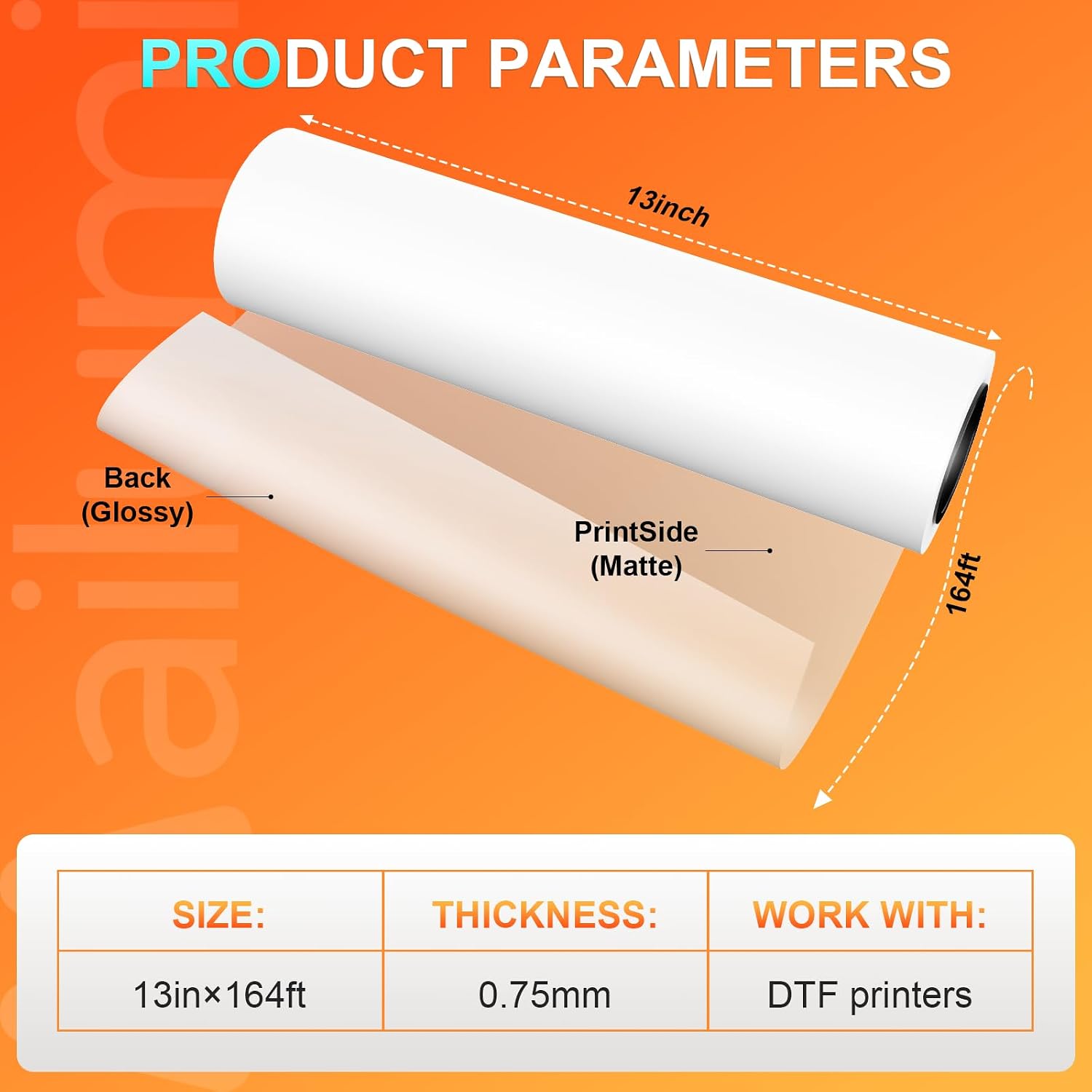 Mailumi DTF Transfer Film for Small Business & DIY Artists - Premium Hot and Cold Peel PET Sheets for Versatile Fabric Printing on T-Shirts and Textiles A3+(13" x 164Ft)