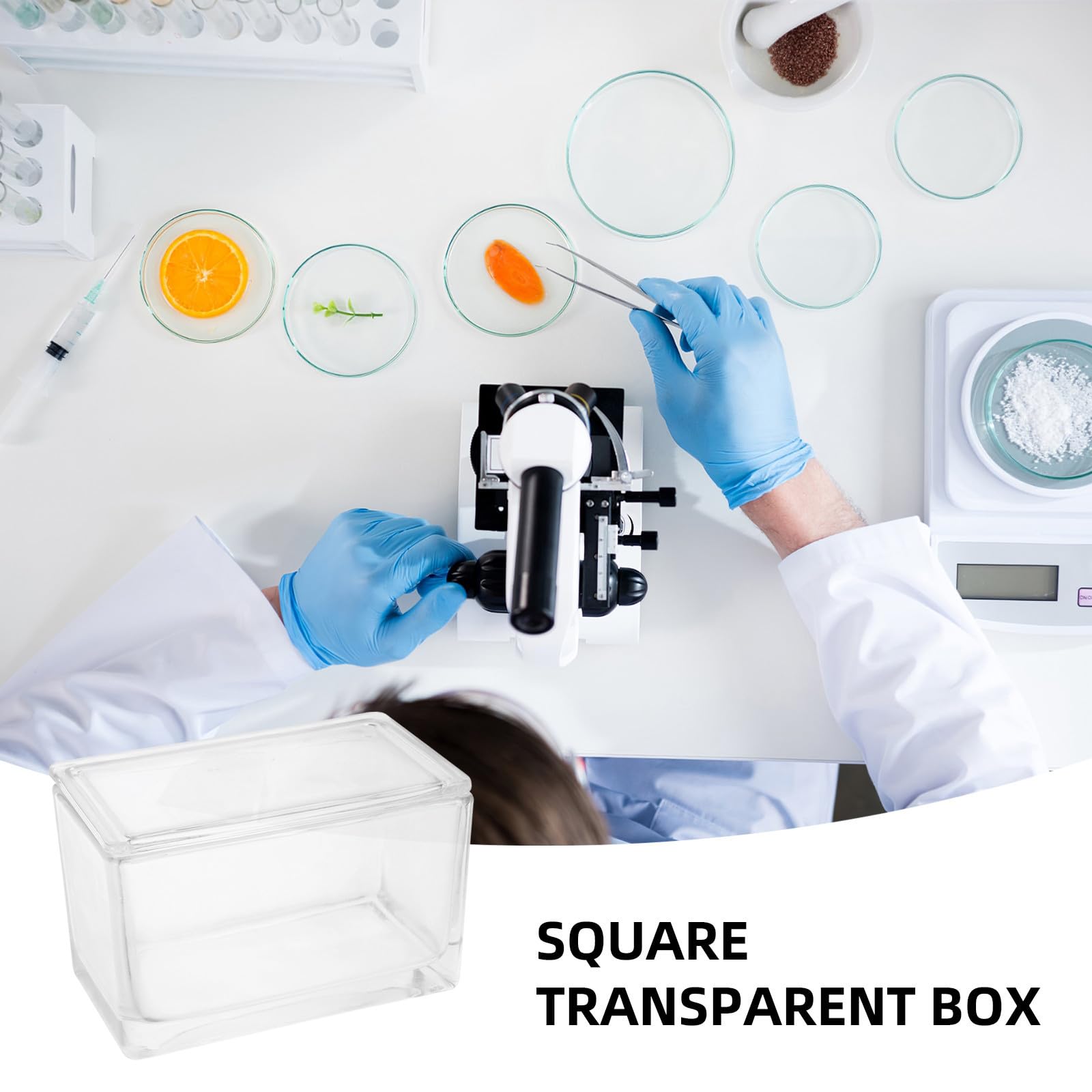 Soportes con Alta Transparencia y Fácil Fijación para Diapositivas de Vidrio Esmerilado de 60 Portaobjetos para Proyectos Científicos y Médicos