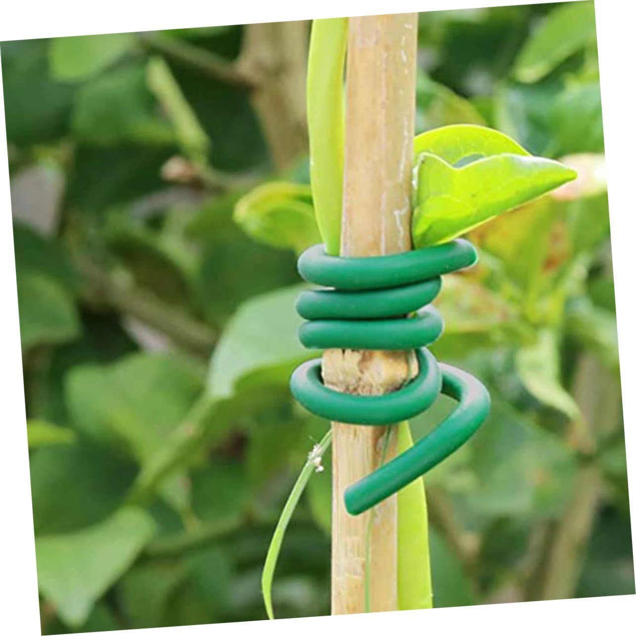 GALPADA 2 Rollen Flexibler Pflanzenbinder Gartendraht 3,5mm X 20m Wiederverwendbar für Gartenpflanzen Tomatenbinder Pflanzenschutz und Rankhilfe